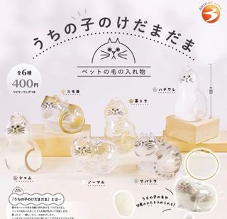（分類：）位於 。 由 jshaha 提交（商品編號 1395966971，圖片 1）。簡介： 。