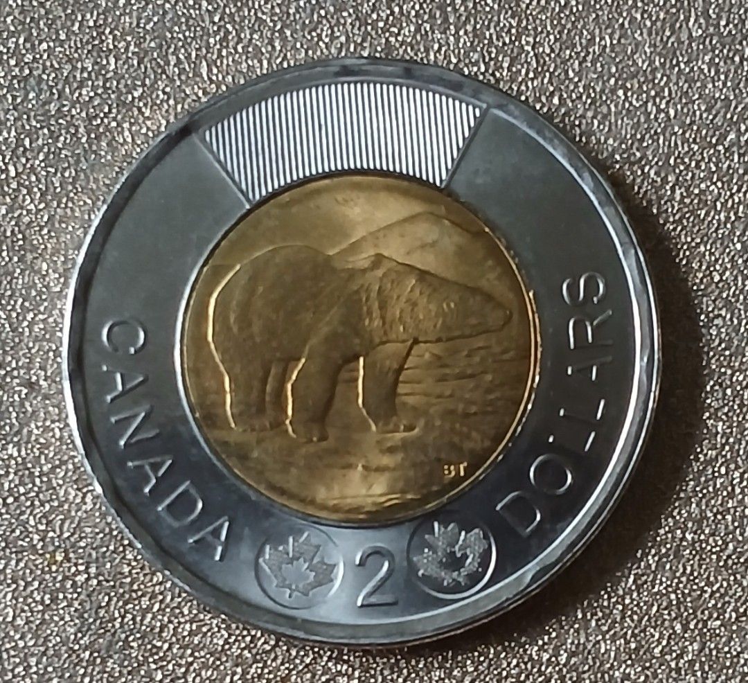 Canadian 2 Dollar Coin 2021 (Category: Currency) located in Lipa City. Submitted by MAGBABALOT7 (Listing ID 1395986176, Image 1). Description: - Canadian $2 coin - Year: 2021 - Features a polar bear design - Includes Queen Elizabeth II - Made of two different metals.