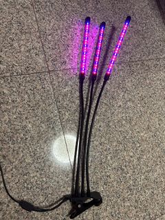 (Category: ) located in . Submitted by alexchoy11 (Listing ID 1396036385, Image 1). Description: .