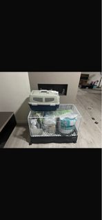 (Category: ) located in . Submitted by frpltsw (Listing ID 1395949067, Image 1). Description: .
