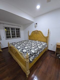 (Category: ) located in . Submitted by shalindah (Listing ID 1396026207, Image 1). Description: .