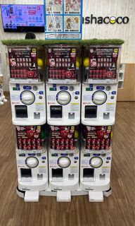 【現貨】2025日本男排最新扭蛋 高橋藍 石川 西田64228050586499110