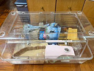 （分類：）位於 。 由 keikei1999 提交（商品編號 1399407526，圖片 1）。簡介： 。