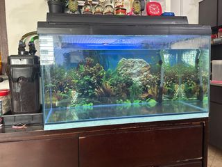 (Category: ) located in . Submitted by randommmmmm (Listing ID 1399257201, Image 1). Description: .
