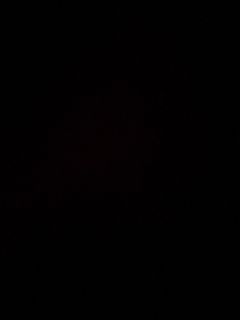 (Category: ) located in . Submitted by rejab12 (Listing ID 1399362004, Image 1). Description: .
