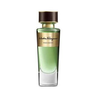 Salvatore Ferragamo Unisex Rinascimento EDP 3.4 oz ** Time-Limited Pre-Order Offer ** [Niche Fragrance] [Most Comprehensive Online] [Pre-Order from Overseas]64226228675459110