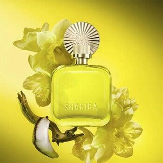 Shakira Ladies Amarillo EDP Spray 2.7 oz (Tester) ** 限時預訂優惠 Time-Limited Pre-Order Offer ** [Niche小眾沙龍香水] [全網最齊全] [Pre-Order外國預訂]64228785765506110