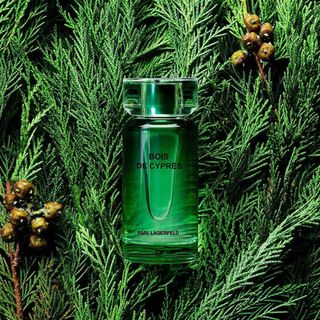 💙全新現貨優惠💙 Karl Lagerfeld Bois de Cyprès Eau de Toilette 卡爾·拉格斐-冷香絲柏淡香水100ml64238421124994110