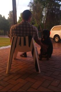 (Category: ) located in . Submitted by Mogalepets (Listing ID 1399452492, Image 1). Description: .