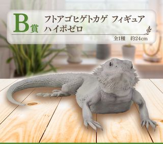（分類：）位於 。 由 ninjacole 提交（商品編號 1399539091，圖片 1）。簡介： 。