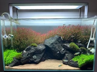 (Category: ) located in . Submitted by lester_yee (Listing ID 1399486802, Image 1). Description: .