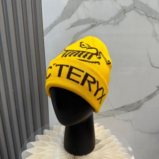 🌟Quality Assurance🌟Archeopteryx Knitted Hat Autumn and Winter New Couple's Knitted Wool Cap64245148800257110