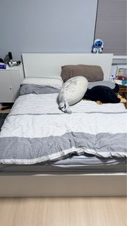 （分類：）位於 。 由 anyaf.o 提交（商品編號 1399603239，圖片 1）。簡介： 。