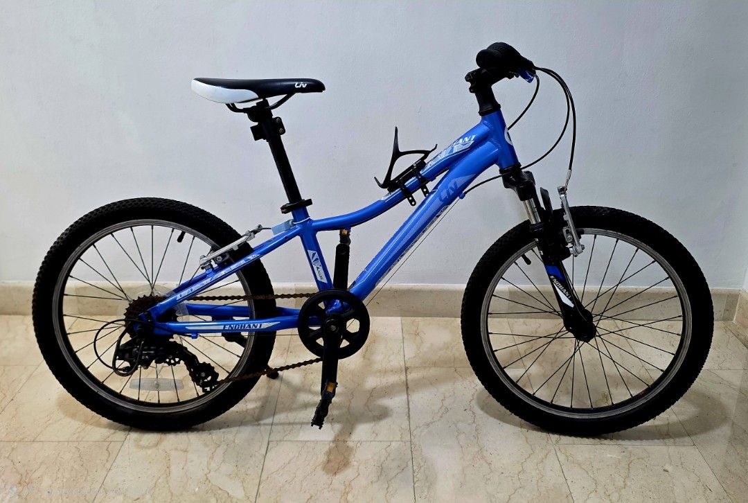 Liv Enchant 24 inch Kids' Bike, Sports Equipment, Bicycles Parts