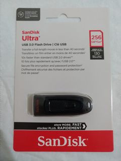 SanDisk 256GB USB Flash Drive (USB 3.0 / Speed 130MB/s)64242680505987110