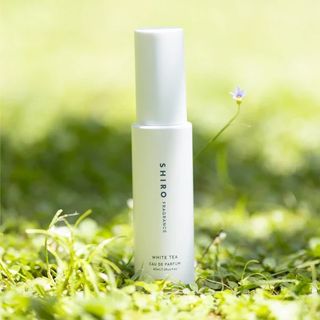 [現貨]SHIRO 白茶香水 WHITE TEA EAU DE PARFUM (40ML)64238890237570110