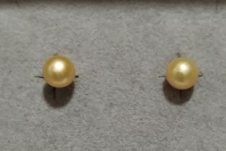 金色珍珠小耳釘(SSJJ.15)64244796198913110