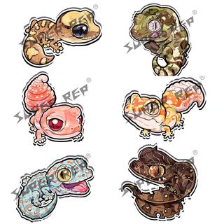 （分類：）位於 。 由 Fishmanshop 提交（商品編號 1399525140，圖片 1）。簡介： 。