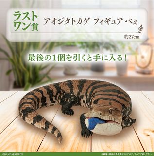 （分類：）位於 。 由 ninjacole 提交（商品編號 1399540057，圖片 1）。簡介： 。