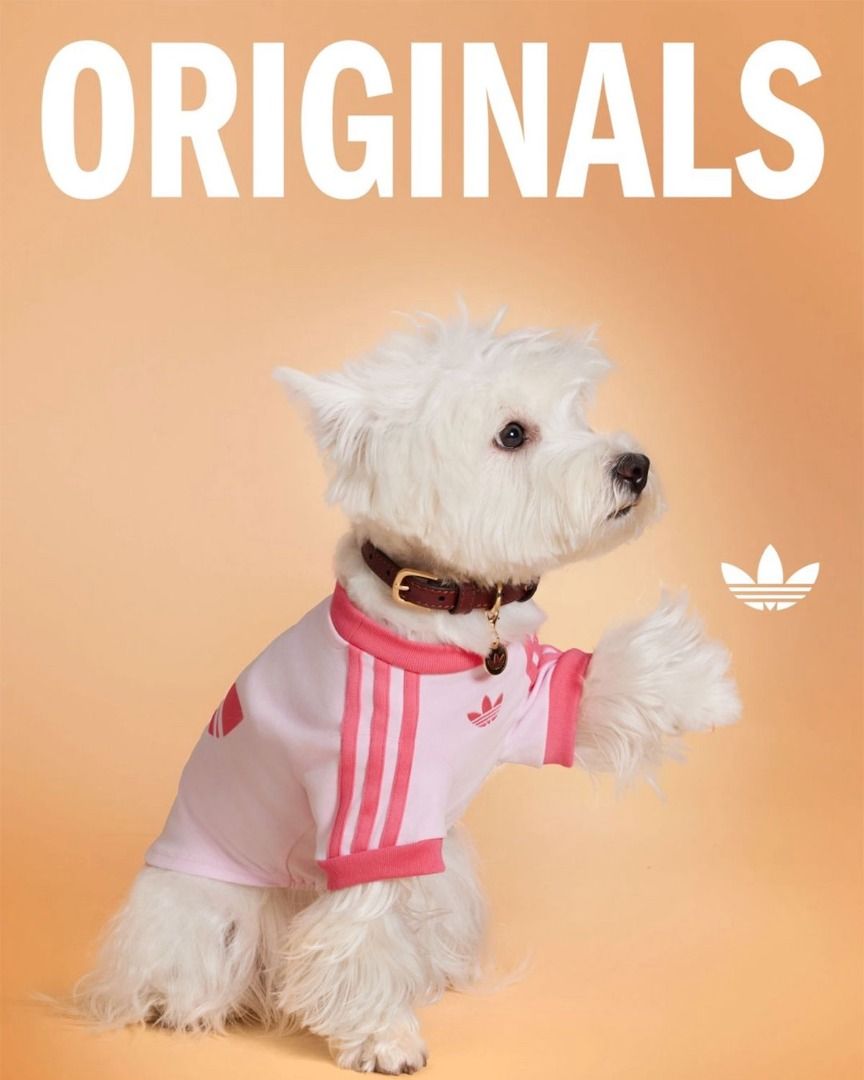 Adidas Pet Collection Dog Cat Clothes (Category: Homes & Other Pet Accessories) located in Makati City. Submitted by pulsepop.ph (Listing ID 1399678554, Image 2). Description: XS-2XL Move over humans, the adidas Originals pet collection is here—and it’s drippier than your average streetwear drop. Yes, you heard that right..