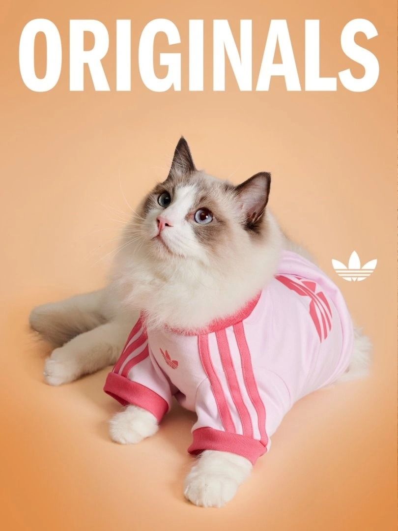 Adidas Pet Collection Dog Cat Clothes (Category: Homes & Other Pet Accessories) located in Makati City. Submitted by pulsepop.ph (Listing ID 1399678554, Image 3). Description: XS-2XL Move over humans, the adidas Originals pet collection is here—and it’s drippier than your average streetwear drop. Yes, you heard that right..