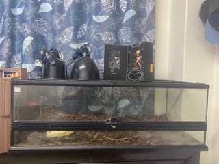 (Category: ) located in . Submitted by lyn_ana (Listing ID 1399799249, Image 1). Description: .