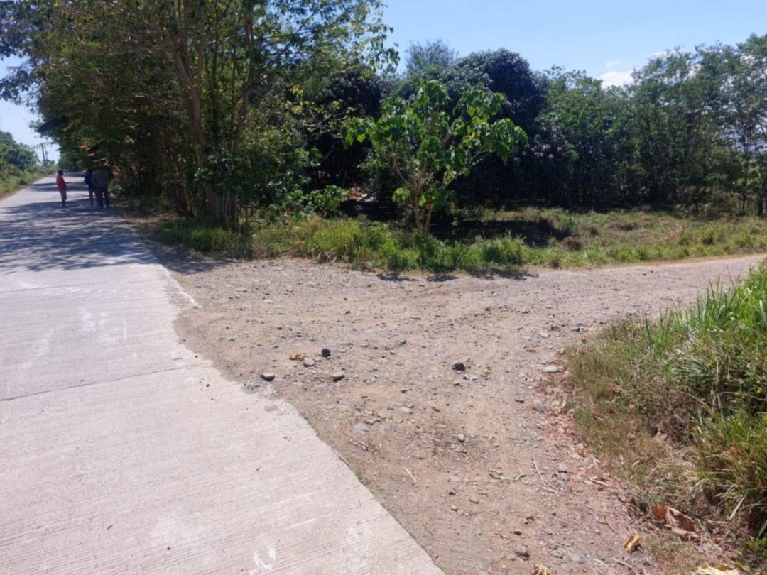 HECTARES LOT IN MALLIG ISABELA (Category: Lot) located in Bacoor. Submitted by marynol1977 (Listing ID 1399773000, Image 1). Description: 🏜 Hectares Lot For Sale🏜 ✅Lot Area: 99,662 ✅@250/sqm. ✅Brgy Olango Mallig ISABELA ✅ with Provincial & brgy road( corner lot) ✅ 5mins from Municipal hall ✅Clean title Pm. Me: Marynol Orense 09089853494 PRC# 008606.