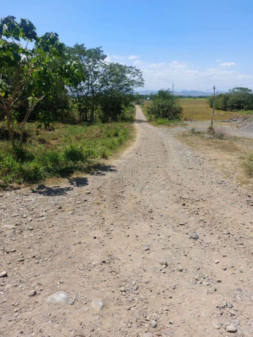 HECTARES LOT IN MALLIG ISABELA (Category: Lot) located in Bacoor. Submitted by marynol1977 (Listing ID 1399773000, Image 2). Description: 🏜 Hectares Lot For Sale🏜 ✅Lot Area: 99,662 ✅@250/sqm. ✅Brgy Olango Mallig ISABELA ✅ with Provincial & brgy road( corner lot) ✅ 5mins from Municipal hall ✅Clean title Pm. Me: Marynol Orense 09089853494 PRC# 008606.