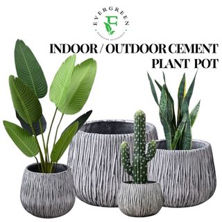 (Category: ) located in . Submitted by evergreen_gardening (Listing ID 1399707465, Image 1). Description: .