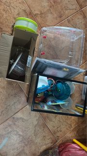 (Category: ) located in . Submitted by bbkmuffin (Listing ID 1399909171, Image 1). Description: .