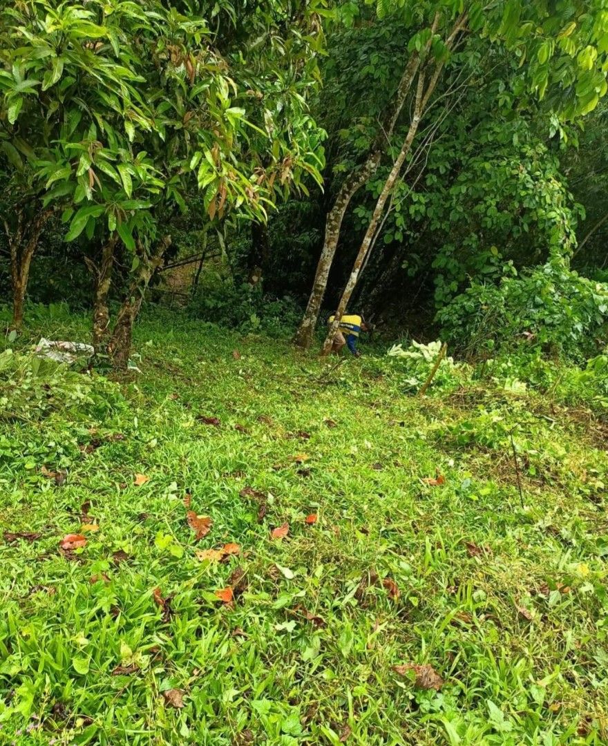 Luisiana Laguna 11737sqm (Category: Lot) located in Pasig City. Submitted by nalabailey (Listing ID 1399834499, Image 2). Description: Luisiana, Barangay San Diego 11737 sqm Less than a kilometer from new bypass road going to Quezon Hundreds of fruiting trees Lanzones Cacao Santol Banana Langka Coconut Rambutan Clean title and owner is alive All taxes and fees updated Banahaw view Soil test completed Relocation muhon completed Meralco approved 12