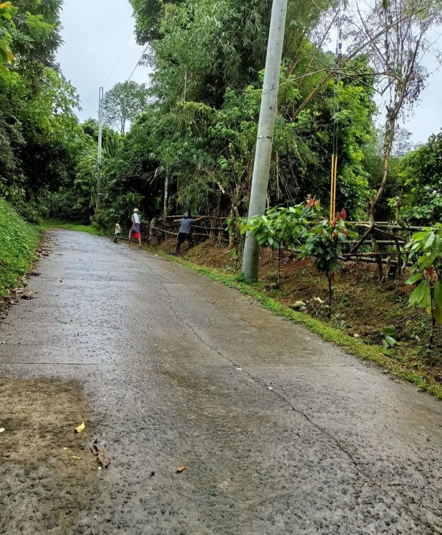 Luisiana Laguna 11737sqm (Category: Lot) located in Pasig City. Submitted by nalabailey (Listing ID 1399834499, Image 1). Description: Luisiana, Barangay San Diego 11737 sqm Less than a kilometer from new bypass road going to Quezon Hundreds of fruiting trees Lanzones Cacao Santol Banana Langka Coconut Rambutan Clean title and owner is alive All taxes and fees updated Banahaw view Soil test completed Relocation muhon completed Meralco approved 12