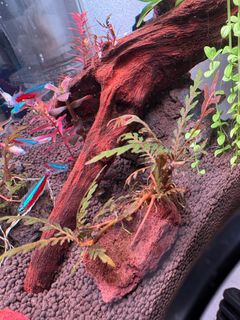(Category: ) located in . Submitted by adrian1701 (Listing ID 1400060979, Image 1). Description: .