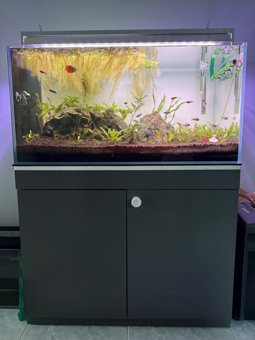 3ft Complete Aquarium Setup with Cabinet 90cmx45cmx45cm crystal clear ...