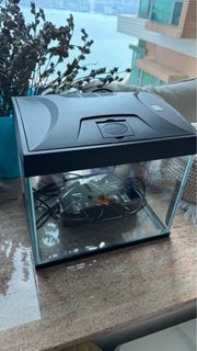 （分類：）位於 。 由 petral12 提交（商品編號 1400205023，圖片 1）。簡介： 。