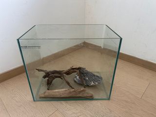 （分類：）位於 。 由 dodohk 提交（商品編號 1400250916，圖片 1）。簡介： 。