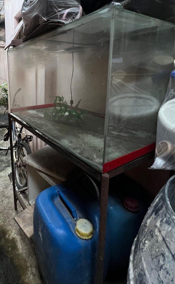 Glass Aquarium with Metal Stand (Category: Homes & Other Pet Accessories) located in Manila. Submitted by luna.11 (Listing ID 1400276792, Image 1). Description: - 32 inches long (estimated around 70 gallons) - Metal stand with red trim - Suitable for fish or aquatic pets - Empty aquarium - Stand has a lower shelf for storage - Walang basag sa mismong aquarium, pero ung lid, needs replacement Pick up by the buyer.
