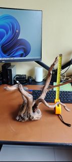 (Category: ) located in . Submitted by denesh21 (Listing ID 1400436343, Image 1). Description: .