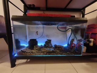(Category: ) located in . Submitted by saiful.fareeq (Listing ID 1400499871, Image 1). Description: .