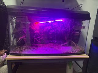 (Category: ) located in . Submitted by shane.aaron.79 (Listing ID 1400540807, Image 1). Description: .