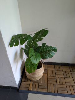 (Category: ) located in . Submitted by staceyyeo (Listing ID 1400468609, Image 1). Description: .