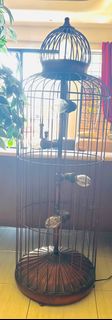 (Category: ) located in . Submitted by aline55555 (Listing ID 1400416597, Image 1). Description: .