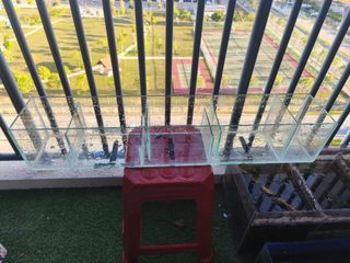 (Category: ) located in . Submitted by saiful.fareeq (Listing ID 1400498672, Image 1). Description: .
