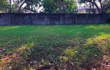 (Category: ) located in . Submitted by zenhawk-7c2f (Listing ID 1400494078, Image 1). Description: .