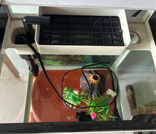 (Category: ) located in . Submitted by matrix292 (Listing ID 1400432048, Image 1). Description: .