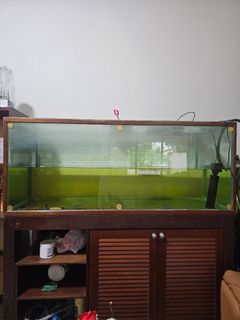 (Category: ) located in . Submitted by xaviera (Listing ID 1400498384, Image 1). Description: .