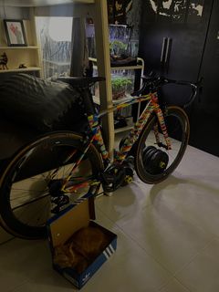 Specialized allez sprint rhc For Sale Bicycles Carousell Singapore