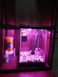 (Category: ) located in . Submitted by tufff (Listing ID 1400727868, Image 1). Description: .