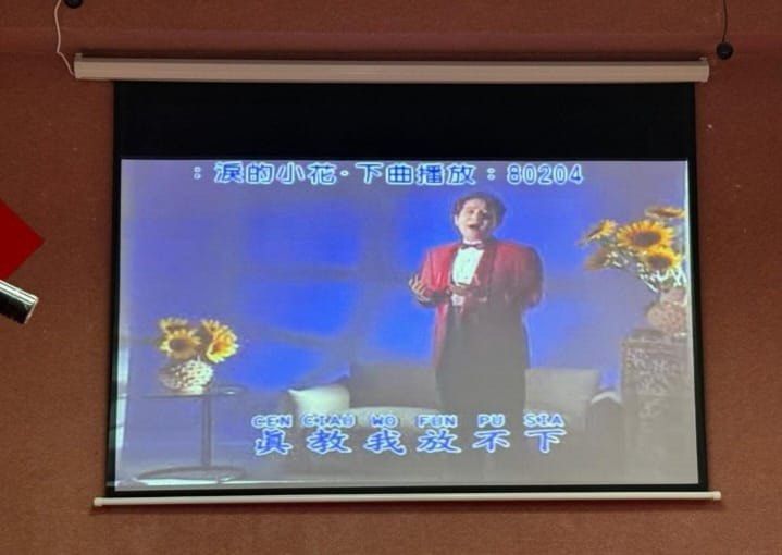 Projector screen 65671939839618113