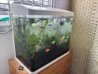 (Category: ) located in . Submitted by airtle14 (Listing ID 1400662906, Image 1). Description: .